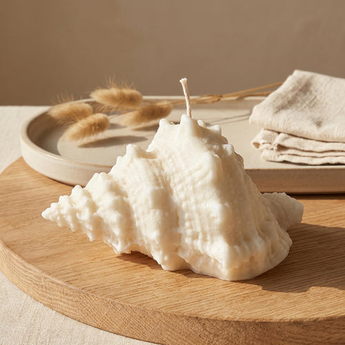 Large Conch Shell Candle – handmade soy wax coastal home decor, front view