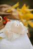 Soy wax blend candle with unclear labeling may contain paraffin