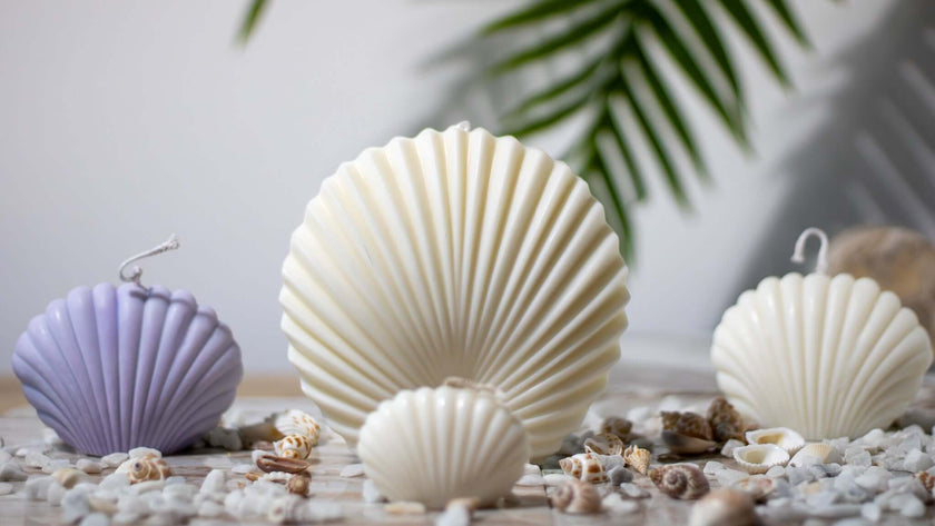 Aesthetic shell candle – hand-poured soy wax in sculptural form, styled for neutral home decor and coastal calm.