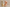 Woman bust sculptural candle with mushroom lamp candle and gold candlestick décor