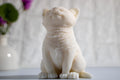 Cat Soy Candle – lifestyle view