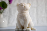 Cat Soy Candle