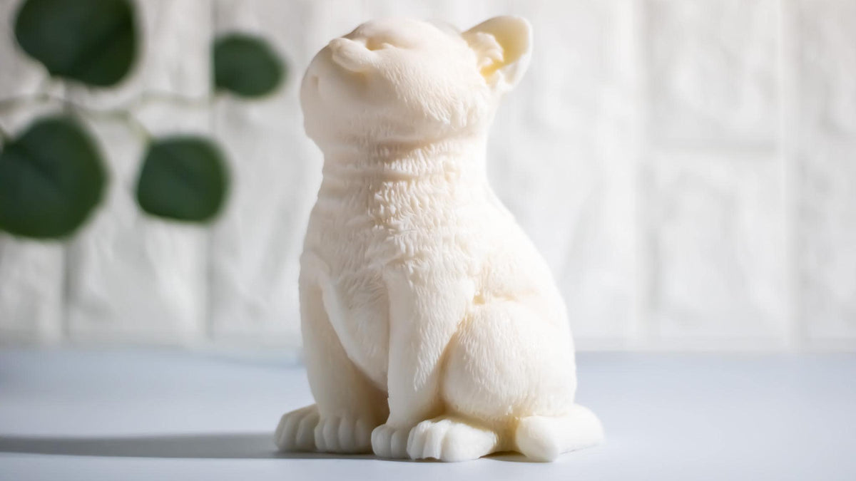 Cat Soy Candle