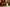 Three Christmas tree-shaped candles in red, green, and white with festive decorations in the background.