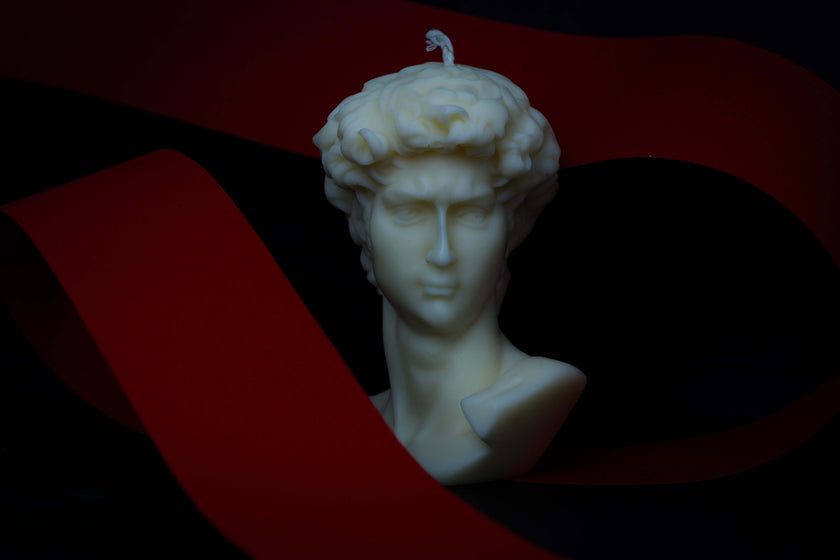 Meet the David Head Candle — an iconic figure reimagined in wax. Made with 100% natural soy wax, this sculptural natural candle blends craftsmanship and conscious living. Every detail is hand-sculpted and hand-finished, delivering a visually stunning statement piece with a clean conscience.

Whether you're styling your living room or gifting with impact, this vegan candle makes a bold yet eco-responsible impression. Crafted without toxins or GMOs, it’s the kind of candle Lily would choose — for the home she