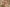 Decorative candle bust with floral hairpiece on a neutral background