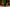 Green nutcracker candle with a blurred festive background