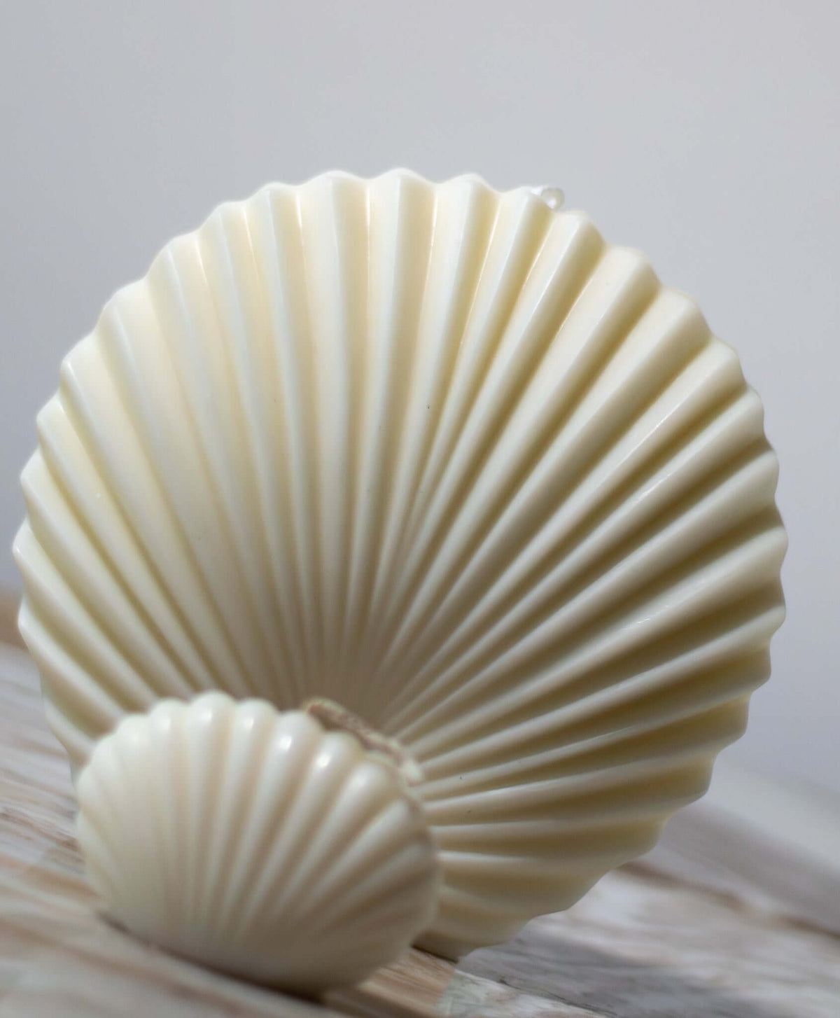 Hand-poured shell candle in soft ivory soy wax – calming presence for quiet rituals and clean living.
