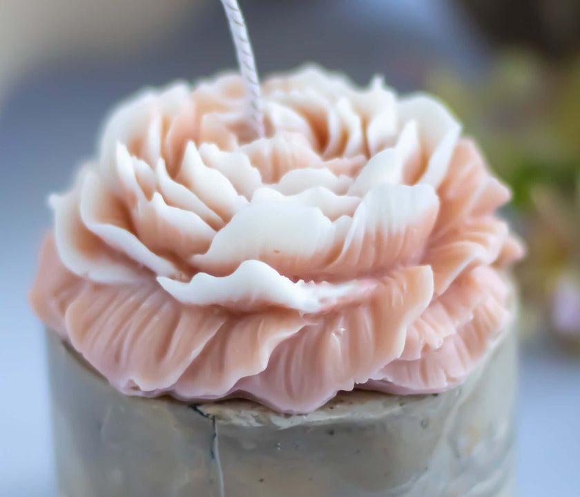 Handmade rose blossom candle made of sculptural soy wax in soft pink and white colors.