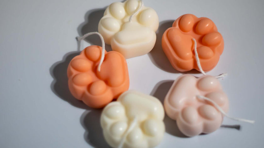 Minimalist non-toxic paw candles with a smooth, clean-burning finish.