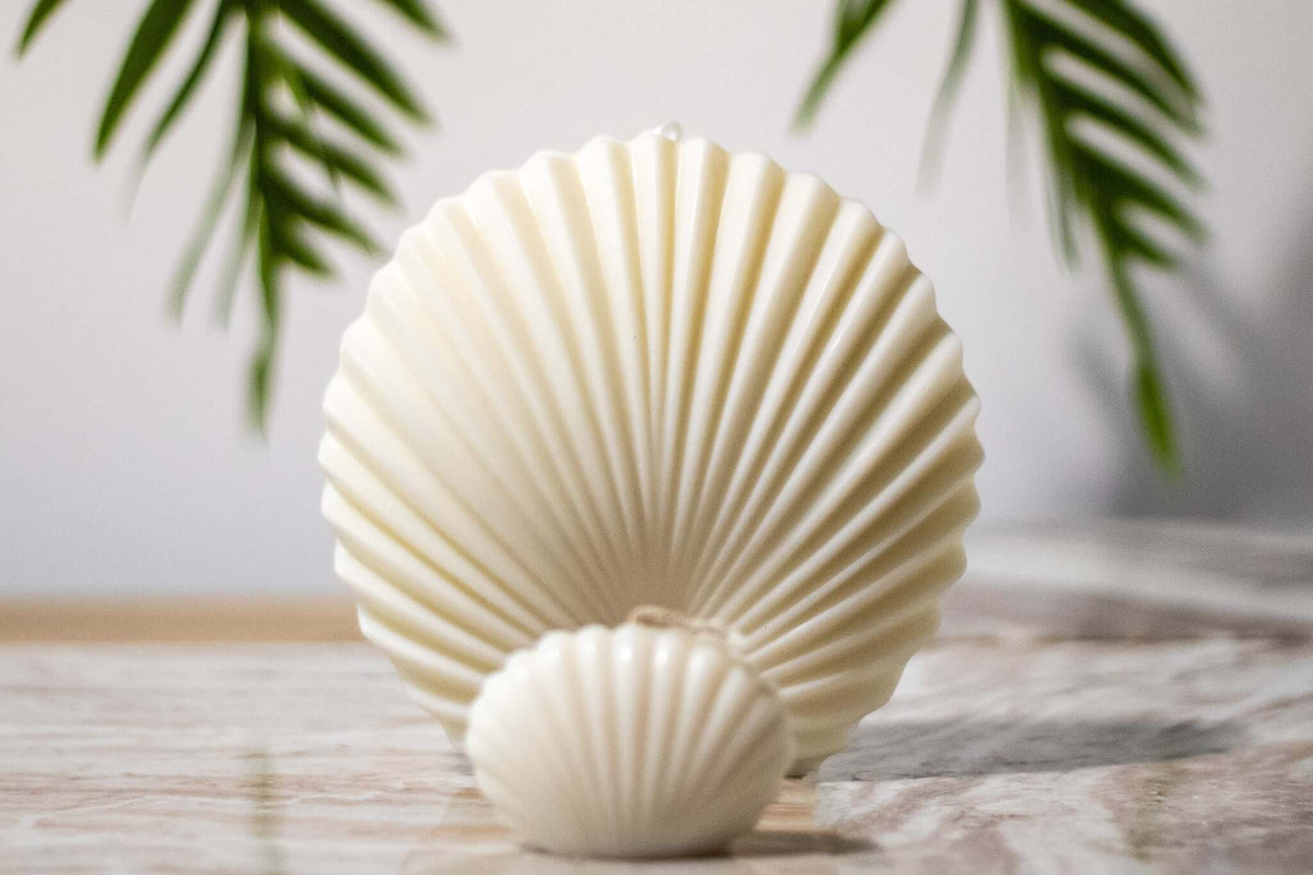 Minimalist shell candle crafted from non-toxic soy wax – perfect for slow living and evening wind-downs.