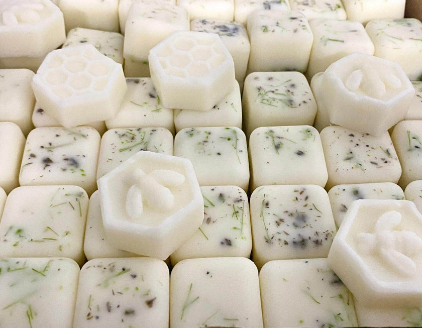 Non-toxic soy wax melts with essential oils, displayed in a bright Florida kitchen
