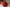 Red decorative candle with floral design on a white surface with Christmas decorations.
