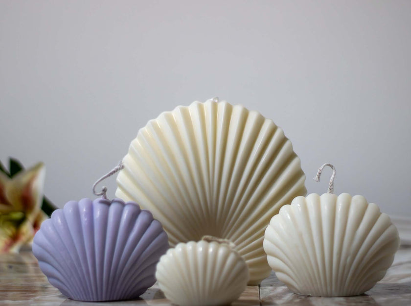 Four sculptural soy wax shell candles in various sizes and colors, featuring detailed ribbed textures.
