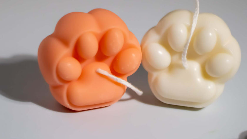 Special Paws candle emitting a warm glow, ideal for pet owners