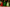 Three Christmas tree-shaped candles in red, green, and white on a table with a decorated background.