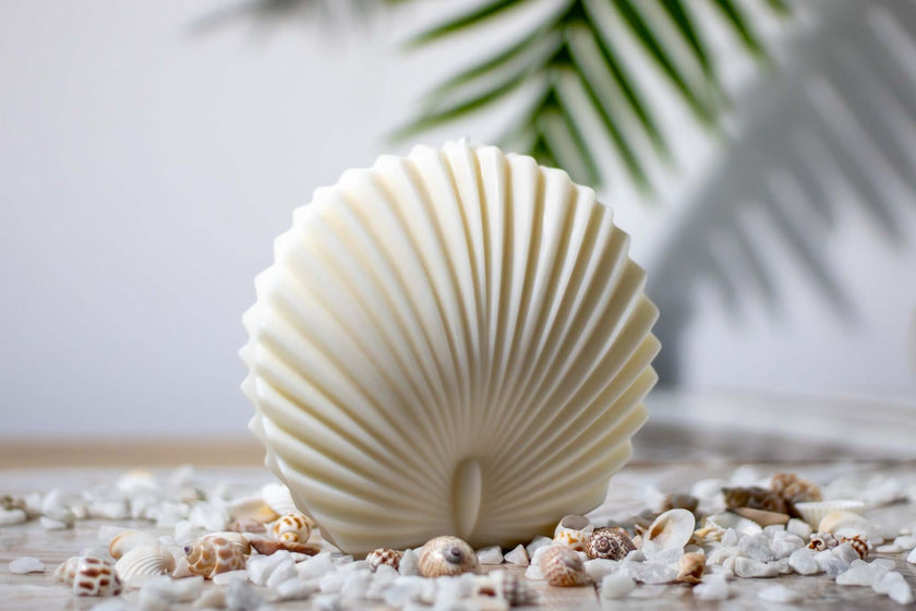 Sculptural soy wax shell candle surrounded by seashells and decorative stones, perfect for home decor.