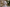 White bust candle with floral design on a decorative table with flowers and a candle.