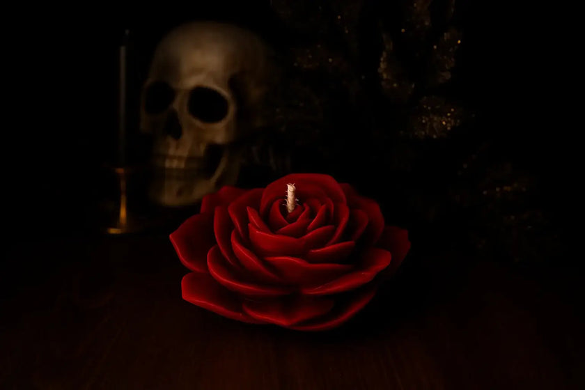Red rose with a skull and candle in a dark setting