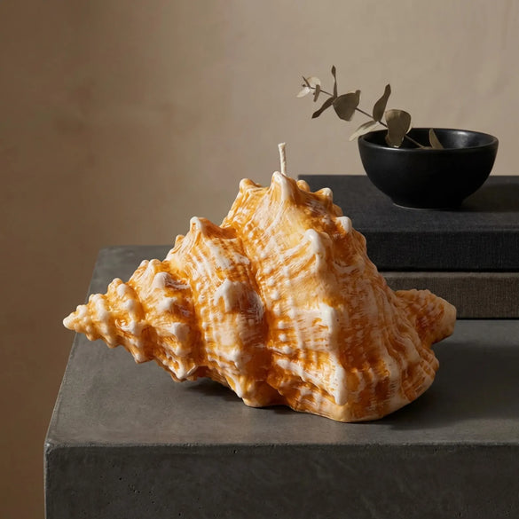 Large Conch Shell Candle – Handmade Soy Wax Coastal Decor Candle