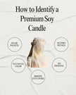Clam with Pearl Candle soy wax candle — close-up detail