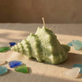 Large Conch Shell Candle – coastal decor candle, lifestyle display