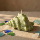 Large Conch Shell Candle – coastal decor candle, lifestyle display