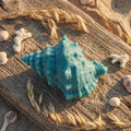Large Conch Shell Candle – natural soy wax statement piece, detail view