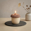 Acorn Soy Wax Candle