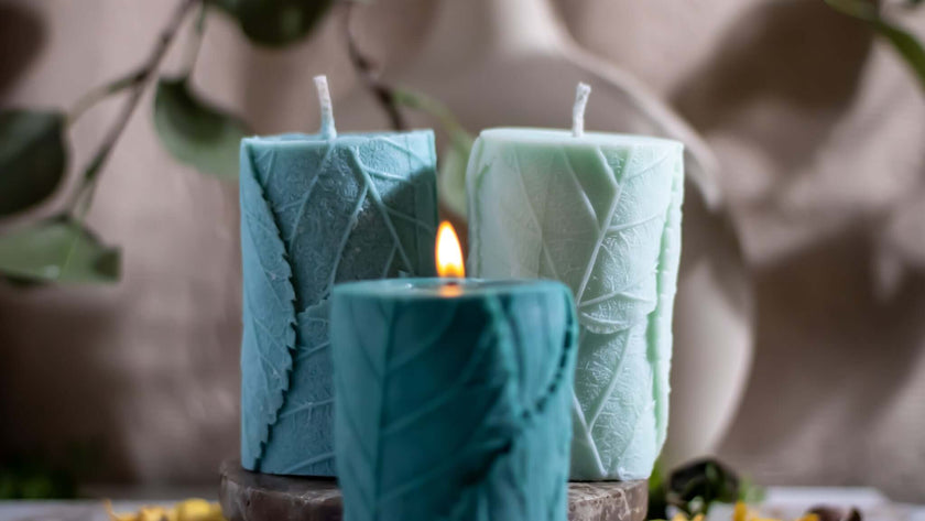 Natural soy wax botanical candle, decorative artisan design, non-GMO, vegan and safe for families and pets