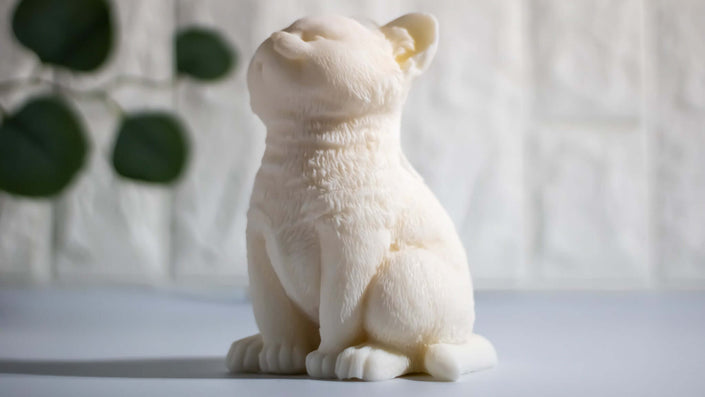 Close-up of the Kitten candle, showcasing its adorable feline-inspired design and smooth wax texture.