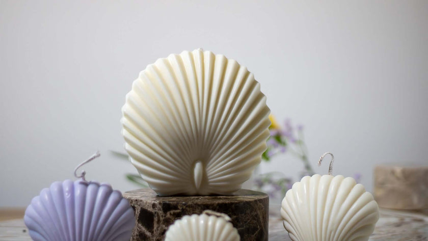 Sculptural shell candle in soy wax – minimalist handmade candle with soft curves and neutral tones.